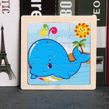 dolphin