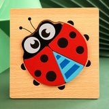 Ladybug