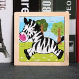 zebra