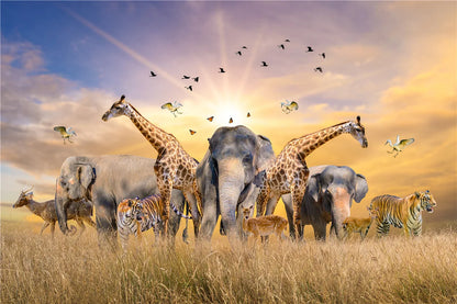 500 Piece Landscape & Travel Jigsaw Puzzle Collection