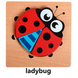 ladybug