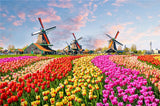 Dutch windmills