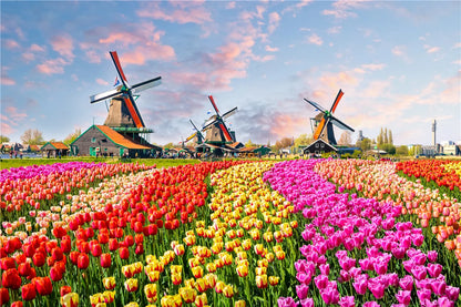 500 Piece Landscape & Travel Jigsaw Puzzle Collection