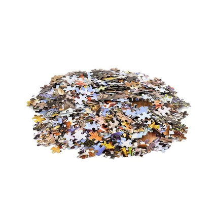 World Explorer Puzzle
