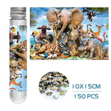 Safari Animals