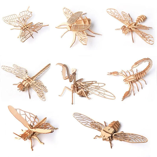 Woodland Insects