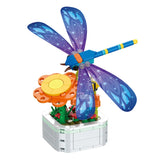 dragonfly